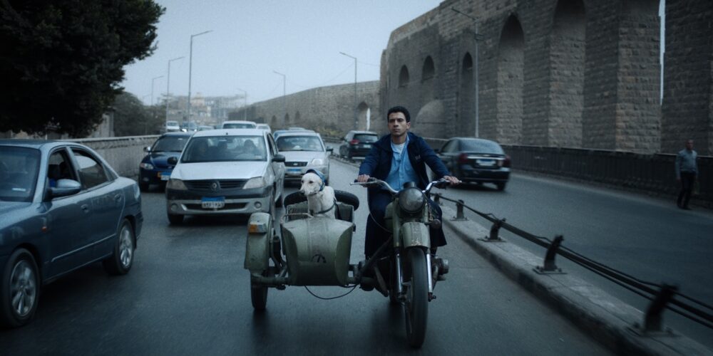 Seeking Haven for Mr. Rambo SAFAR Film Festival 2025