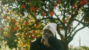 A Malian man sitting in a field in front of an orange tree.