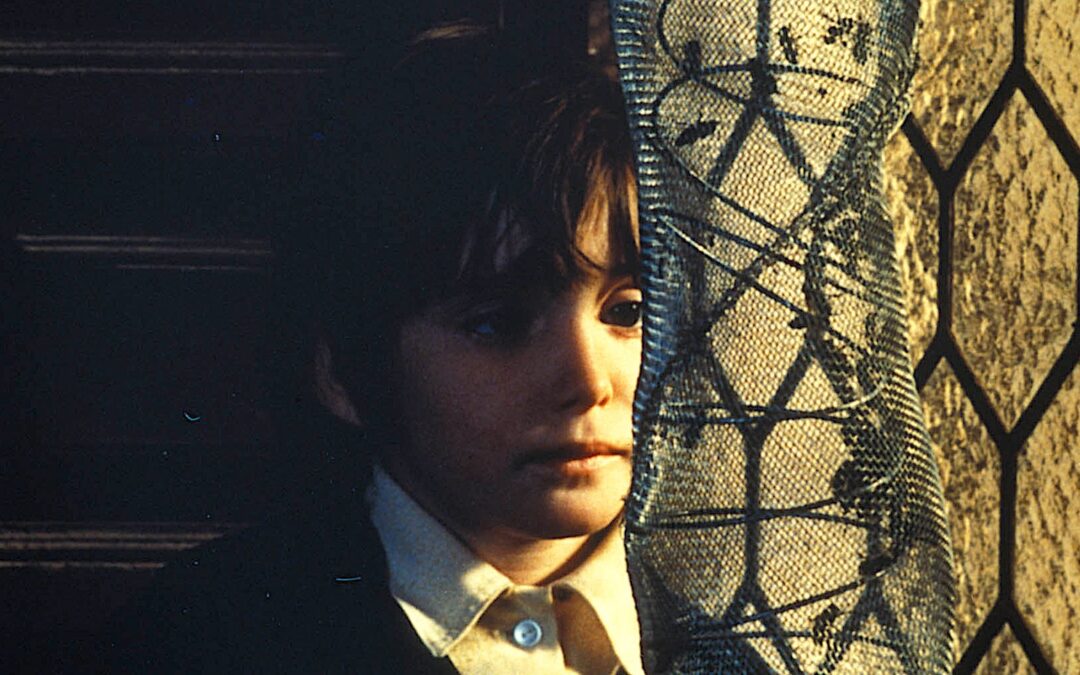 The Spirit of the Beehive