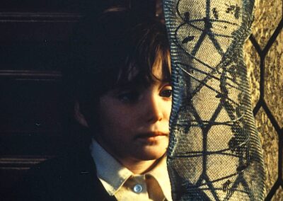 The Spirit of the Beehive