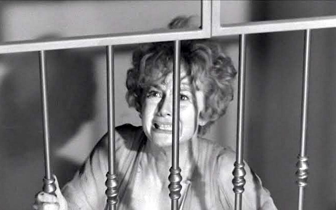 Lady In A Cage